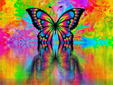 Schmetterling 5d Diy Diamond Painting Diamant Malerei Set PX2071329
