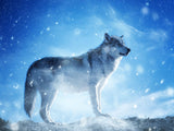 Wolf 5d Diy Diamond Painting Diamant Malerei Set PX2321291
