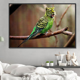 Vogel 5d Diy Diamond Painting Diamant Malerei Set PX2430625