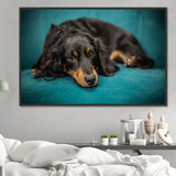 Hund 5d Diy Diamond Painting Diamant Malerei Set PX2561134