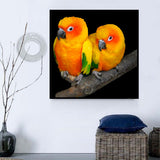 Papagei 5d Diy Diamond Painting Diamant Malerei Set PX3080543