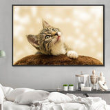 Katze 5d Diy Diamond Painting Diamant Malerei Set PX4611189