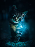 Katze 5d Diy Diamond Painting Diamant Malerei Set PX4869935