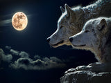 Wolf 5d Diy Diamond Painting Diamant Malerei Set PX547203