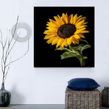 Sonnenblume 5d Diy Diamond Painting Diamant Malerei Set PX6630823