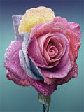 Rose 5d Diy Diamond Painting Diamant Malerei Set PX729509