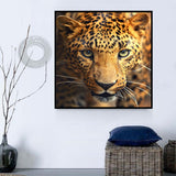 Leopard 5d Diy Diamond Painting Diamant Malerei Set SS106640027