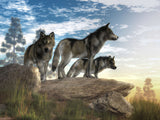 Wolf 5d Diy Diamond Painting Diamant Malerei Set SS1260143263