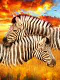 Zebra 5d Diy Diamond Painting Diamant Malerei Set SS1642881289