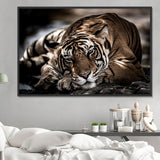 Tiger 5d Diy Diamond Painting Diamant Malerei Set SS1658277238