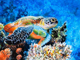 Schildkröte 5d Diy Diamond Painting Diamant Malerei Set SS1834600078