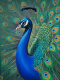 Pfau 5d Diy Diamond Painting Diamant Malerei Set SS1880475673