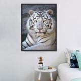 Tiger 5d Diy Diamond Painting Diamant Malerei Set SS1885610284