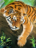 Tiger 5d Diy Diamond Painting Diamant Malerei Set SS1887817654