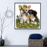 Hund 5d Diy Diamond Painting Diamant Malerei Set SS1954944634