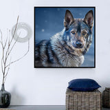 Wolf 5d Diy Diamond Painting Diamant Malerei Set SS236294746