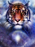 Tiger 5d Diy Diamond Painting Diamant Malerei Set SS307556786