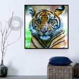 Tiger 5d Diy Diamond Painting Diamant Malerei Set SS687839308