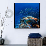 Schildkröte 5d Diy Diamond Painting Diamant Malerei Set SS89290870