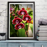 Blume 5d Diy Diamond Painting Diamant Malerei Set VM8233