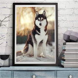 Hund 5d Diy Diamond Painting Diamant Malerei Set VM8620