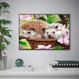 Lgel 5d Diy Diamond Painting Diamant Malerei Set VM9071
