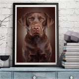 Hund 5d Diy Diamond Painting Diamant Malerei Set VM9611
