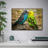 Papagei 5d Diy Diamond Painting /Diamant Malerei Set VM9912