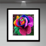 Rose 5d Diy Diamond Painting Diamant Malerei Set AF9324