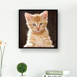 Katze 5d Diy Diamond Painting Diamant Malerei Set QB9999